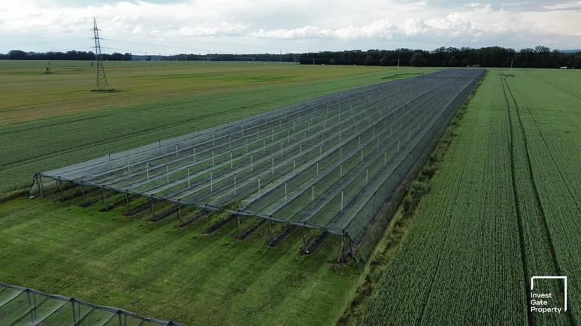 Prodej zemědělského objektu, Čejkovice, 32904 m2