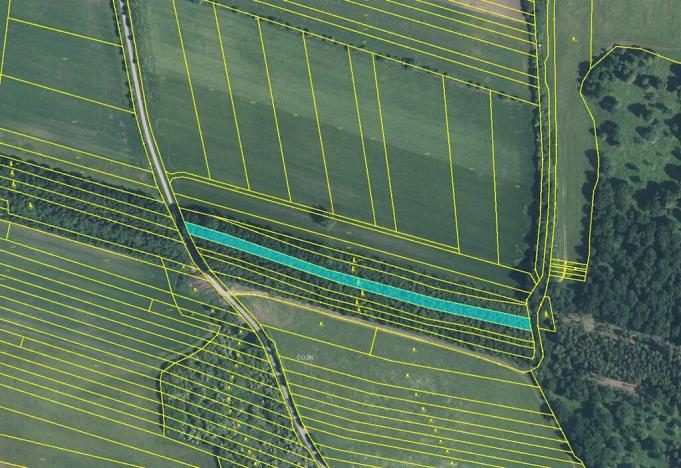 Prodej pole, Javorník, 15288 m2