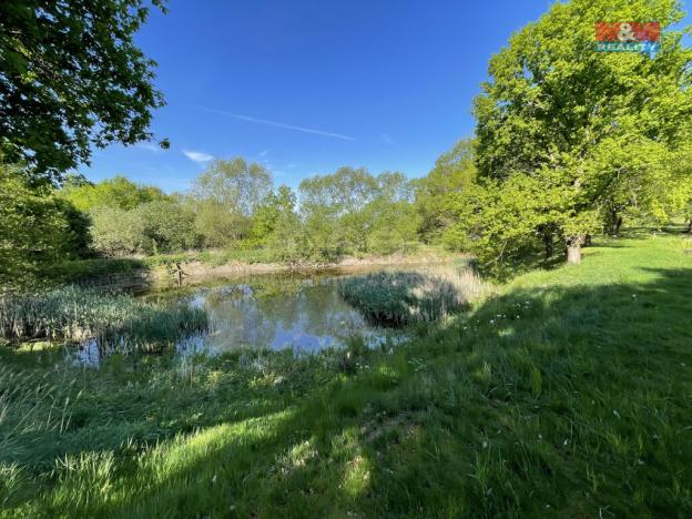 Prodej rybníku, Hrejkovice - Níkovice, 1618 m2