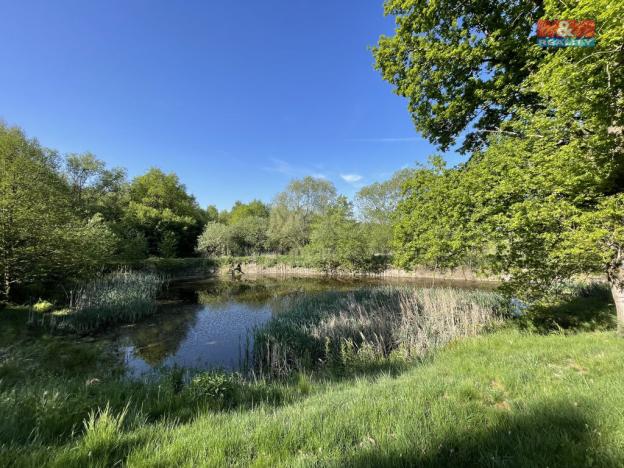 Prodej rybníku, Hrejkovice - Níkovice, 1618 m2