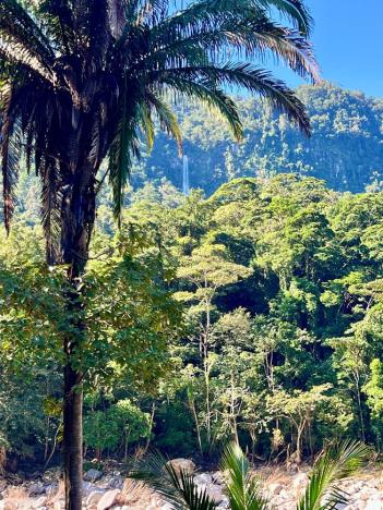 Prodej rodinného domu, La Ceiba, Honduras, 4080 m2