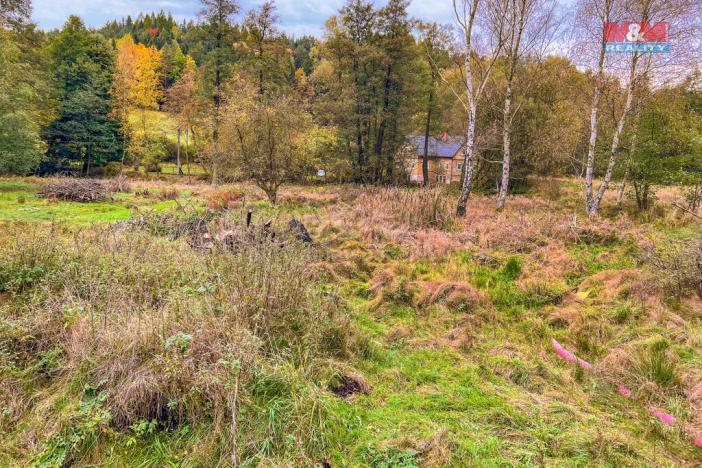 Prodej louky, Prysk, 4788 m2