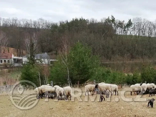 Prodej pole, Řepín, 22068 m2