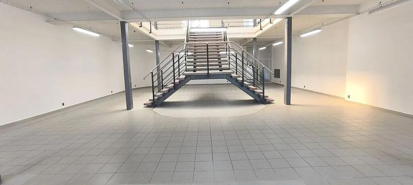 Pronájem obchodního prostoru, Cheb, Dyleňská, 826 m2