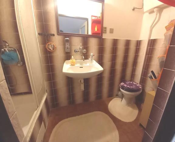 Prodej rodinného domu, Pasohlávky, 210 m2