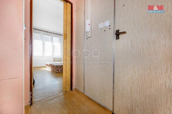 Prodej bytu 1+kk, Plzeň - Doudlevce, Heyrovského, 20 m2