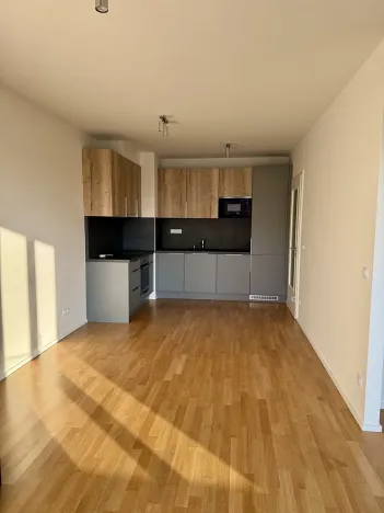 Pronájem bytu 2+kk, Praha - Žižkov, U Viktorie, 43 m2