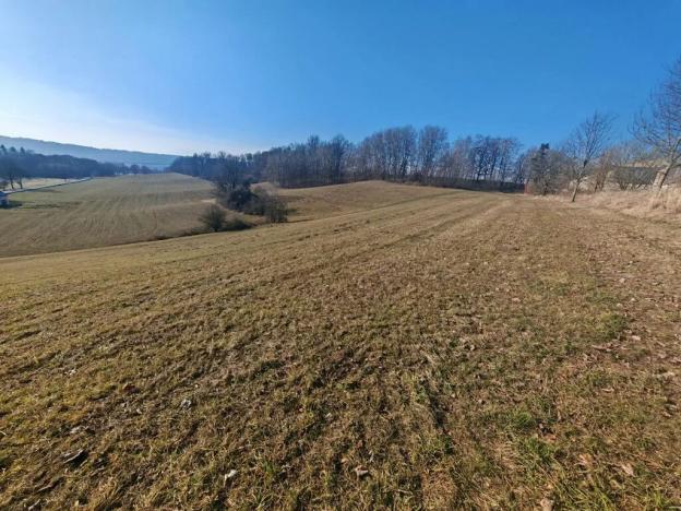 Prodej louky, Mírová pod Kozákovem, 38134 m2