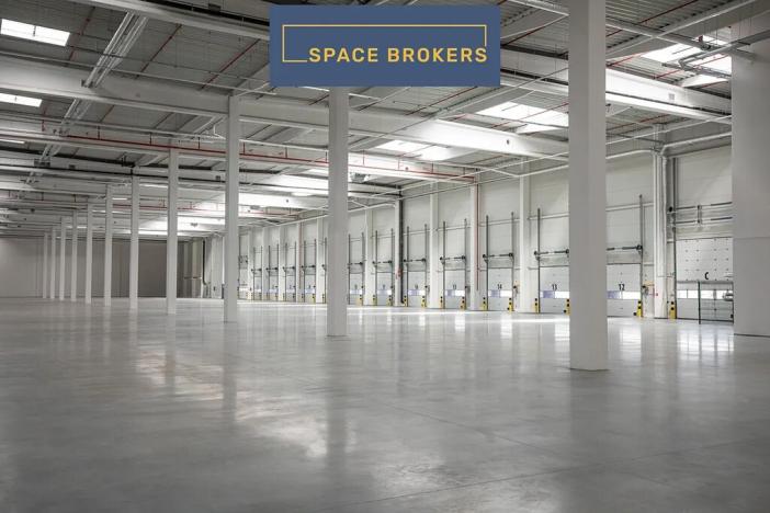 Pronájem skladu, Velké Albrechtice, 69000 m2