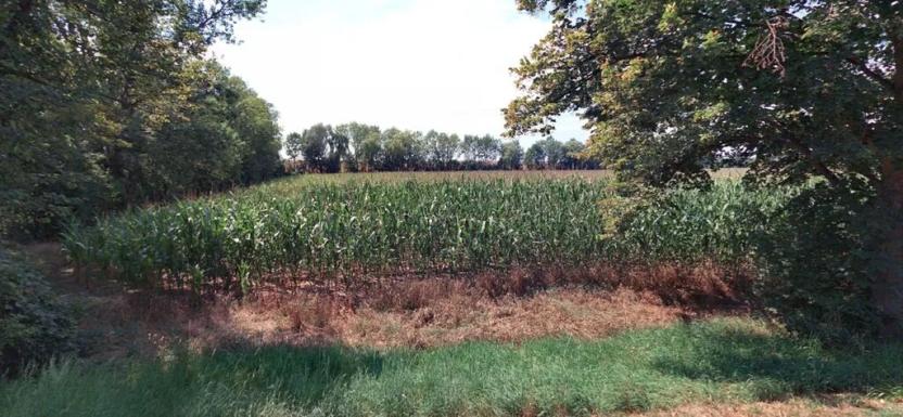 Prodej pole, Černuc, 1154 m2