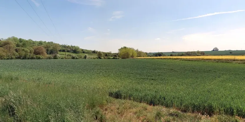 Prodej pole, Zdětín, 11949 m2