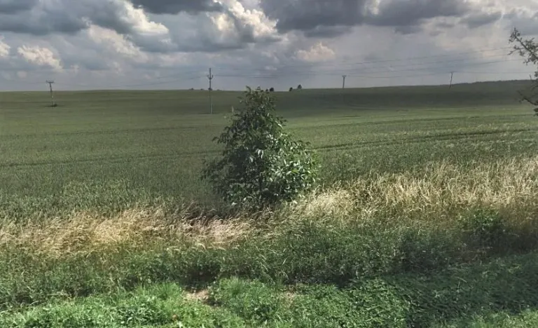 Prodej komerčního pozemku, Tuřany, 28748 m2