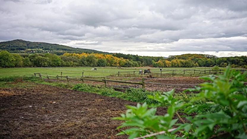 Prodej pozemku, Třebušín, 127000 m2