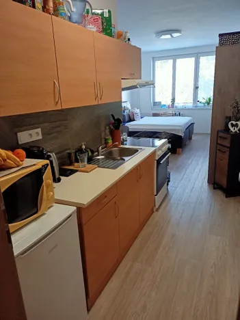 Pronájem bytu 1+kk, Uherský Brod, 30 m2