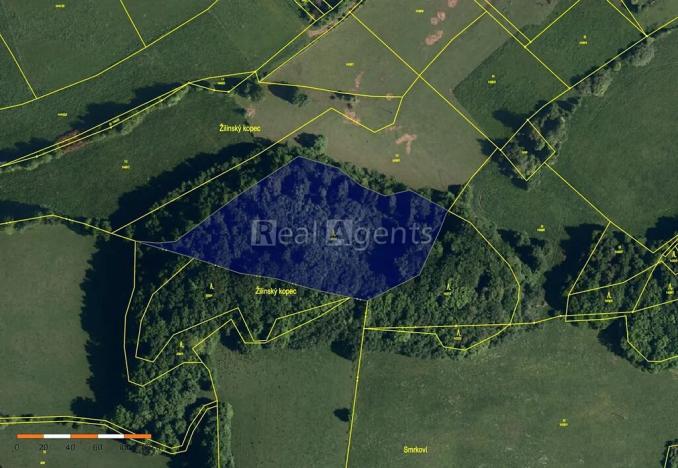 Prodej lesa, Nový Jičín, 13092 m2