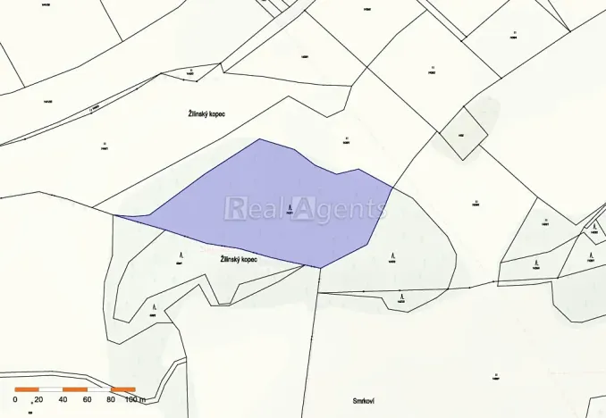 Prodej lesa, Nový Jičín, 13092 m2