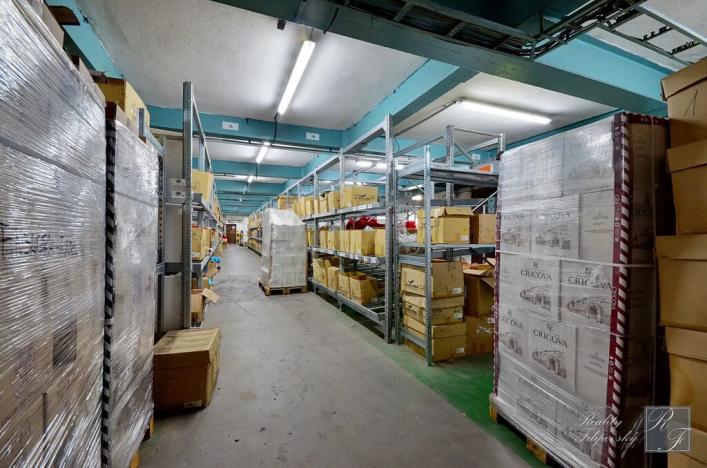 Prodej výrobních prostor, Ústí nad Labem, Tovární, 3960 m2