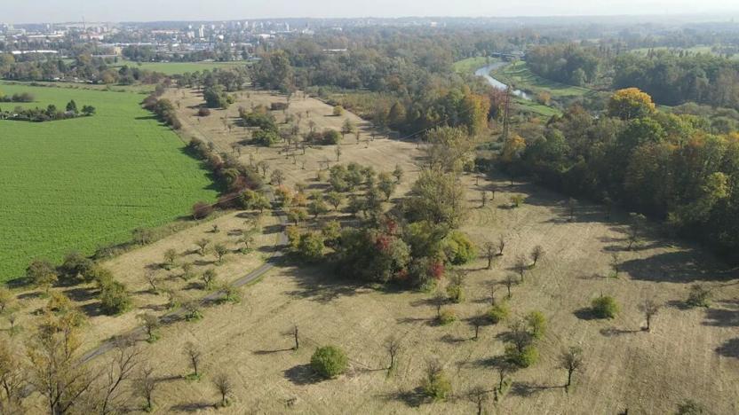 Prodej pozemku, Karviná, 224181 m2