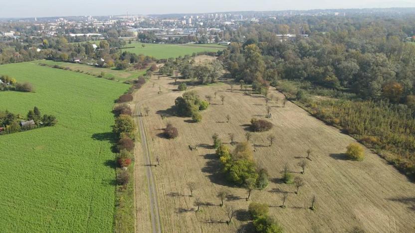 Prodej pozemku, Karviná, 224181 m2