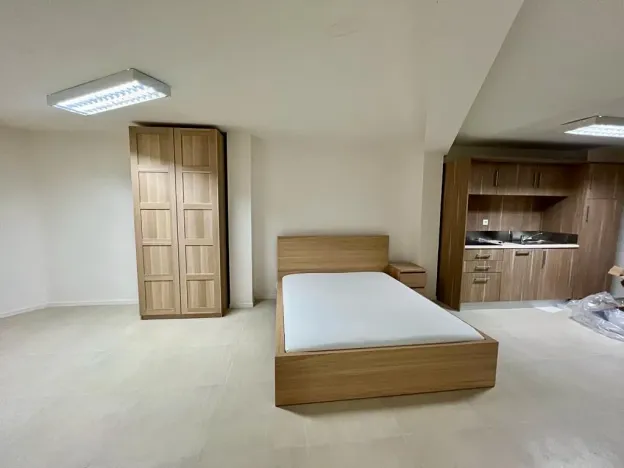 Pronájem bytu 1+kk, Praha - Žižkov, Husitská, 48 m2