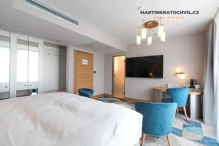 Pronájem bytu 1+kk, Praha - Staré Město, Bílkova, 29 m2