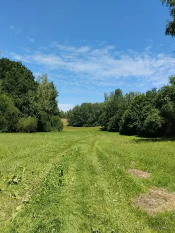 Prodej louky, Červená Řečice, 3840 m2