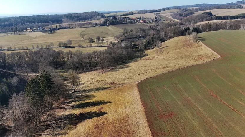 Prodej pole, Zdobín, 46786 m2