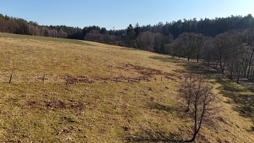 Prodej pole, Zdobín, 46786 m2