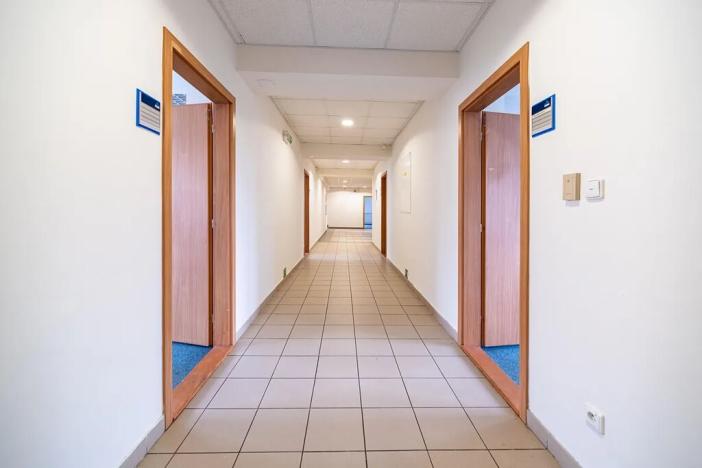Pronájem kanceláře, Hradec Králové, Sušilova, 250 m2