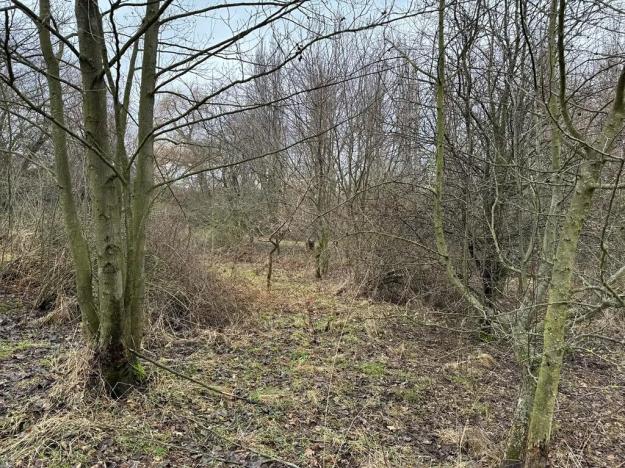 Prodej louky, Libočany, 3500 m2