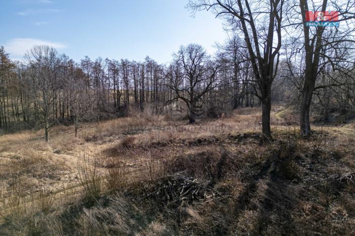 Prodej pozemku pro bydlení, Vlčice, 5869 m2