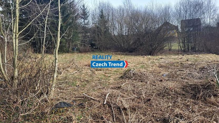 Prodej pozemku pro bydlení, Červená Voda, 1218 m2