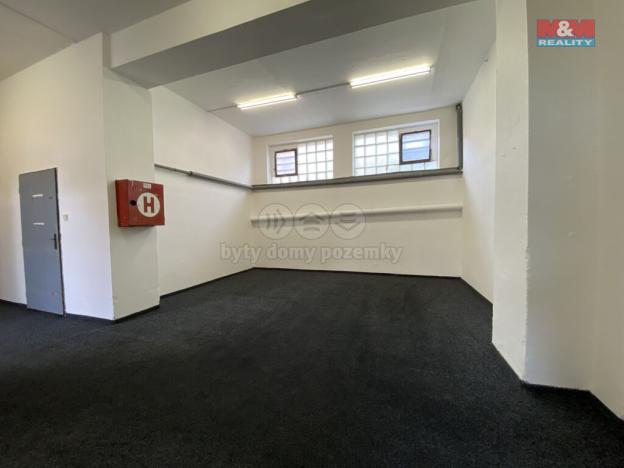 Pronájem skladu, Louny, Říční, 70 m2
