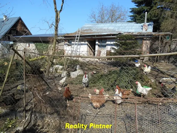 Prodej pozemku pro bydlení, Narysov, 2053 m2