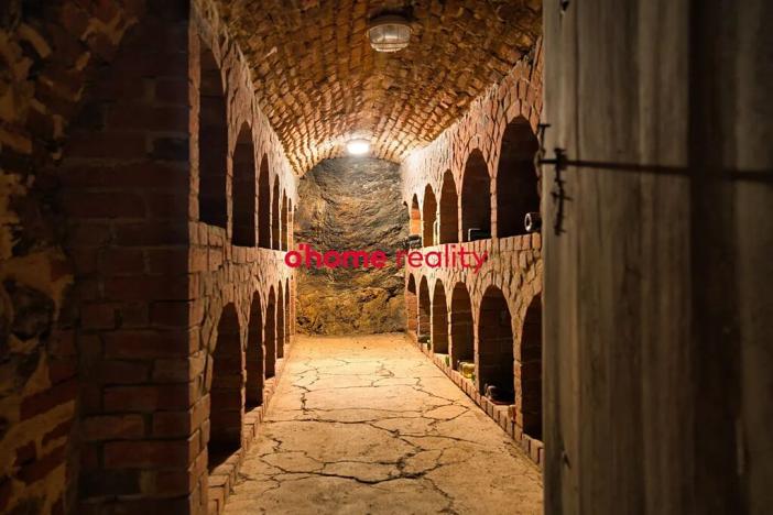 Prodej domu, Luka nad Jihlavou, Nádražní, 2812 m2