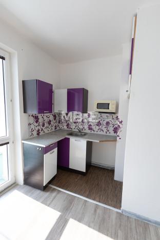 Pronájem bytu 1+kk, Karviná - Ráj, Kosmonautů, 21 m2