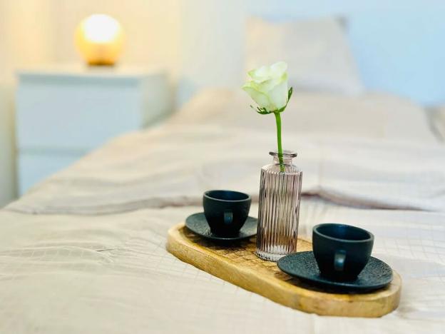 Pronájem bytu 2+kk, Jihlava, Havlíčkova, 50 m2