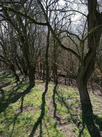 Prodej louky, Havlovice, 2200 m2