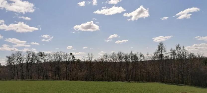 Prodej louky, Havlovice, 2200 m2