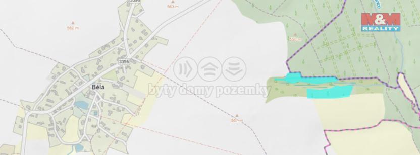 Prodej lesa, Bělá, 17628 m2