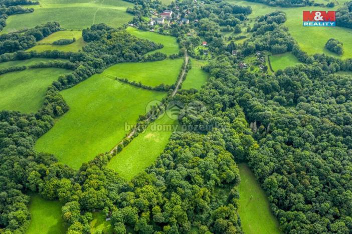 Prodej lesa, Homole u Panny - Suletice, 22174 m2