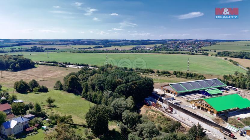 Prodej lesa, Olbramice, 10089 m2