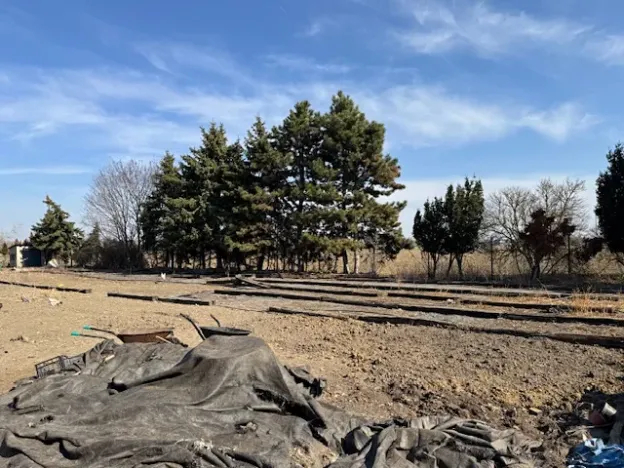 Prodej výrobních prostor, Přerov, Tovačovská, 8008 m2