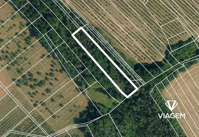 Prodej podílu lesa, Semtěš, 1627 m2