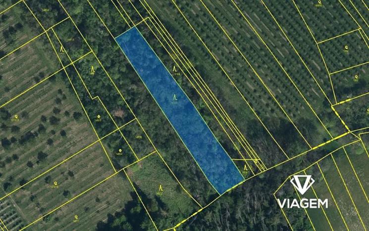 Prodej podílu lesa, Semtěš, 1627 m2