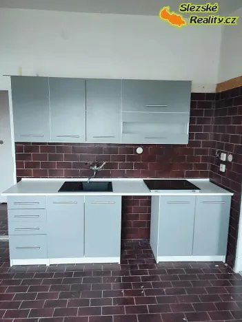 Pronájem bytu 1+1, Ostrava, 50 m2