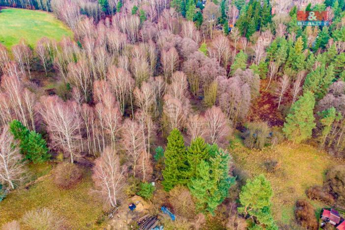 Prodej louky, Arnoltice, 6306 m2