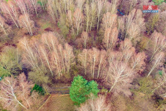 Prodej louky, Arnoltice, 6306 m2