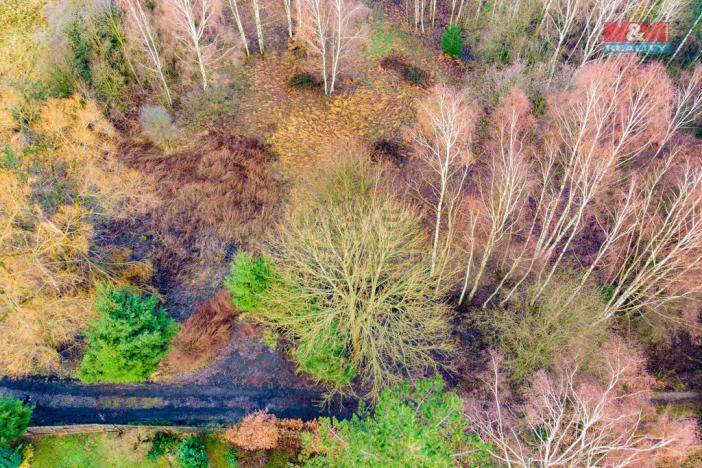 Prodej louky, Arnoltice, 6306 m2