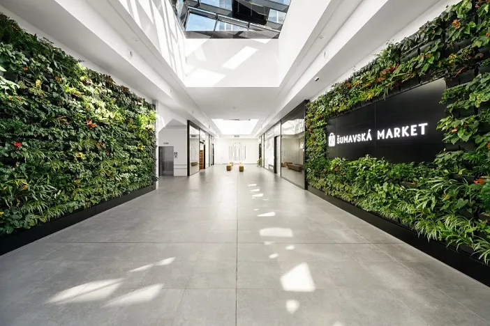 Pronájem kanceláře, Brno, Šumavská, 483 m2